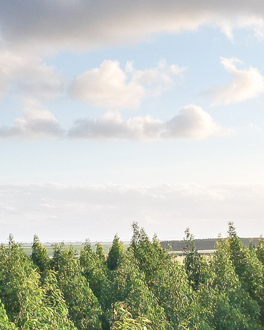 Mediahuis is committed to setting scientifically substantiated climate goals